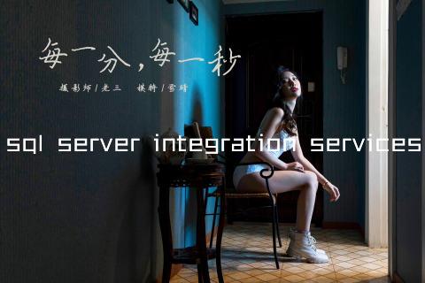 sql server integration services